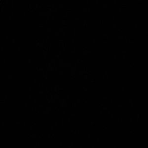 Meet your Posher, Candice